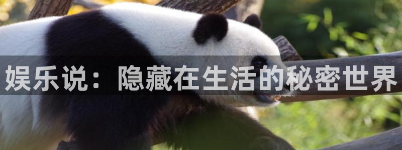 蓝狮在线注册平台官网：娱乐说：隐藏在生活的秘密世界