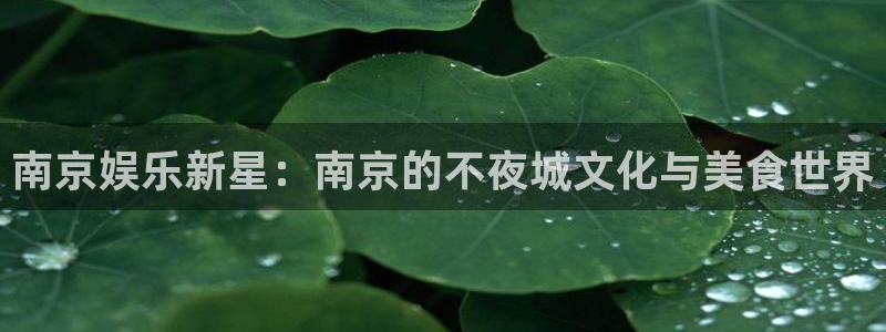蓝狮在线平台：南京娱乐新星：南京的不夜城文化与美食世界