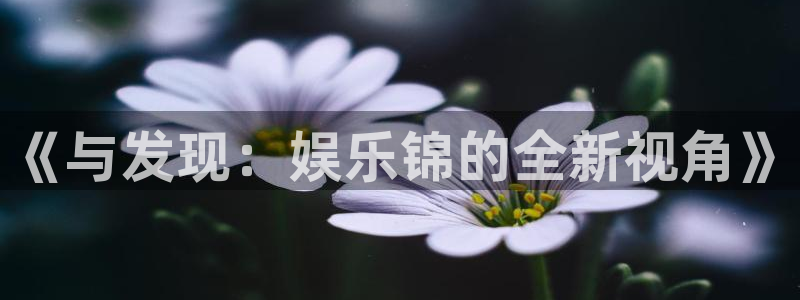 蓝狮在线游戏怎么注册：《与发现：娱乐锦的全新视角》