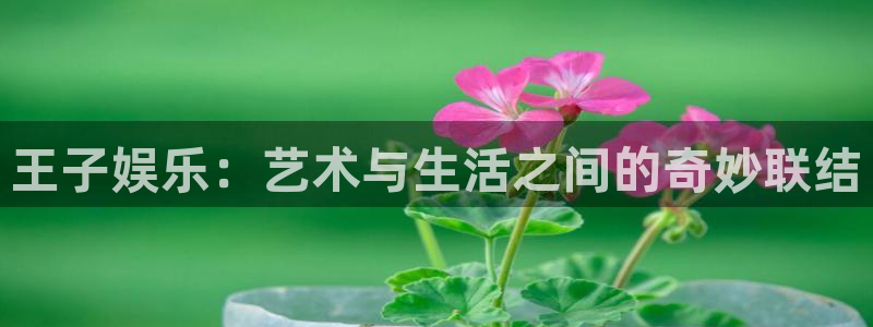 蓝狮在线邀请码怎么获得：王子娱乐：艺术与生活之间的奇妙联结