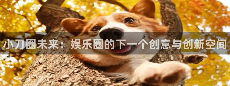 蓝狮在线登录注册账号