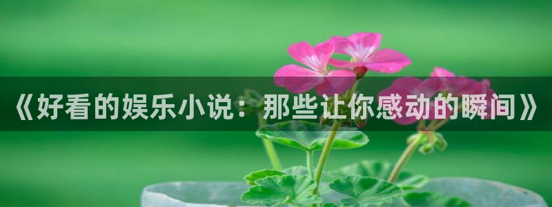 蓝狮在线彩票官网：《好看的娱乐小说：那些让你感动的瞬间》