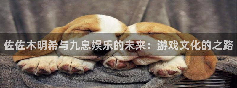 蓝狮在线的钱能提出来吗：佐佐木明希与九息娱乐的未来：游戏文化的之路