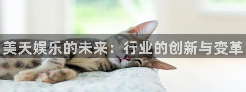 蓝狮在线平台：美天娱乐的未来：行业的创新与变革